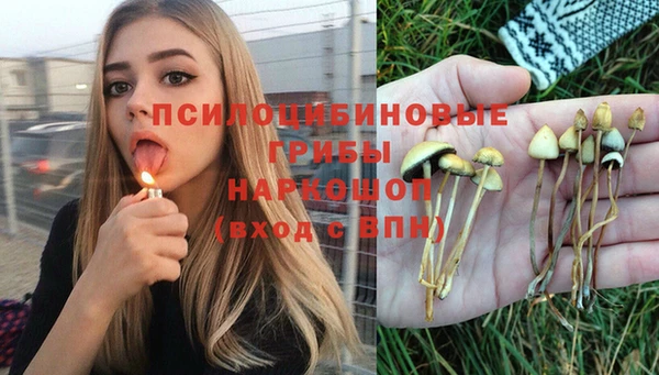 тгк Баксан