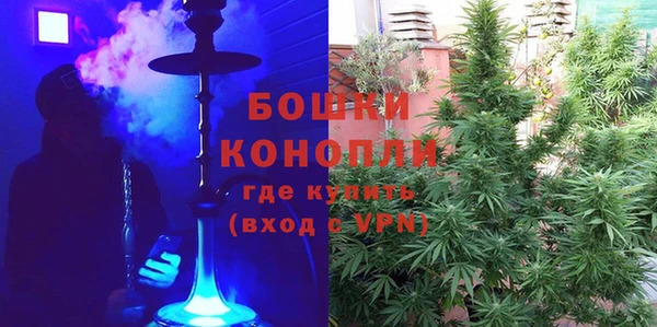 стаф Балахна
